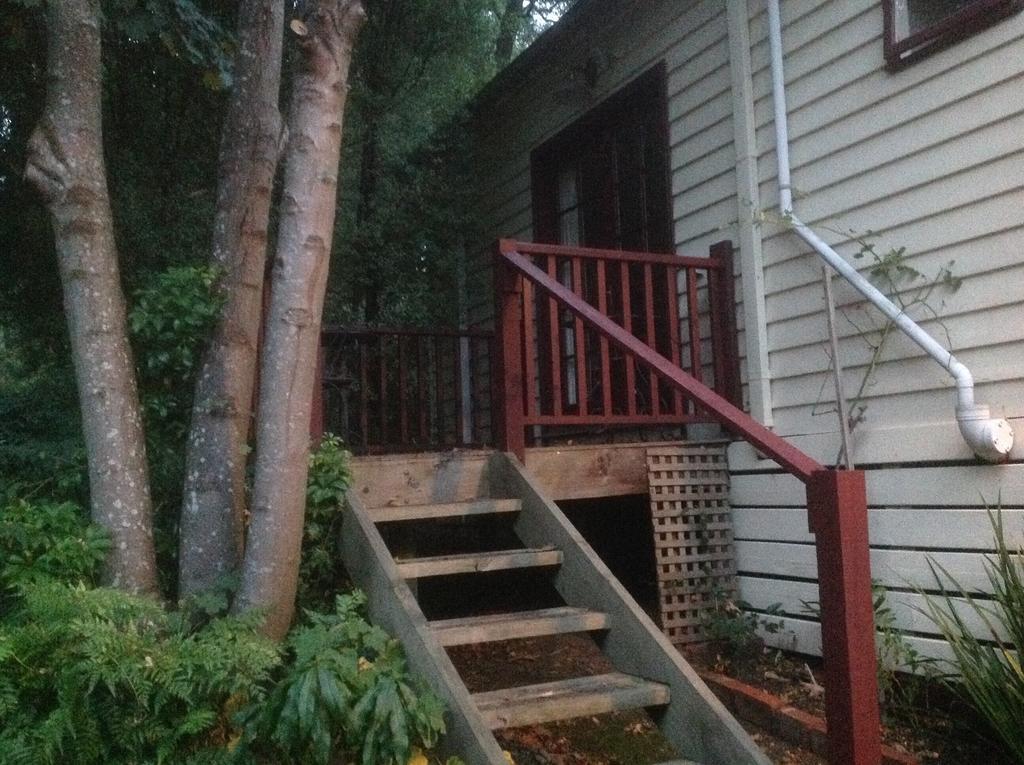 Belgrave Hideaway Bed & Breakfast エクステリア 写真