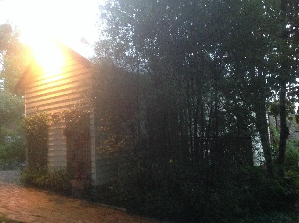Belgrave Hideaway Bed & Breakfast エクステリア 写真